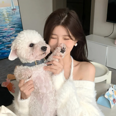 主角身边绊脚石