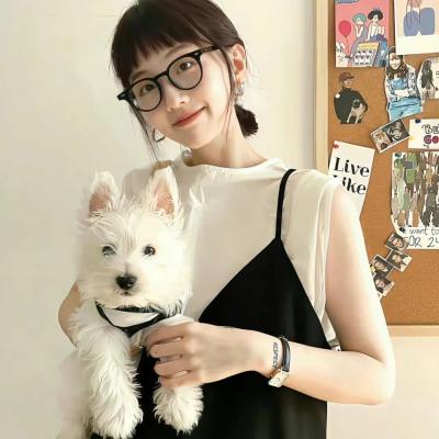 彩虹小马：小马国女孩之友谊大赛