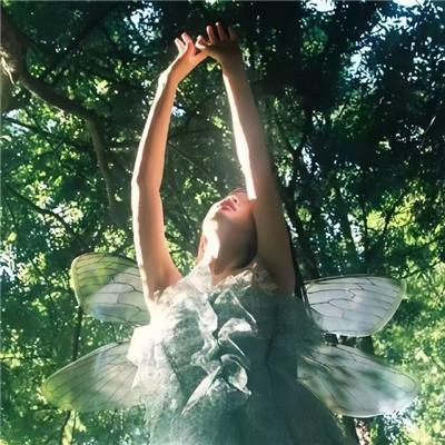 八仙传之铁拐李济世