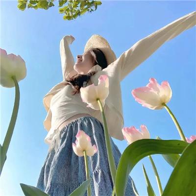 假太监，女帝让我攻略后宫